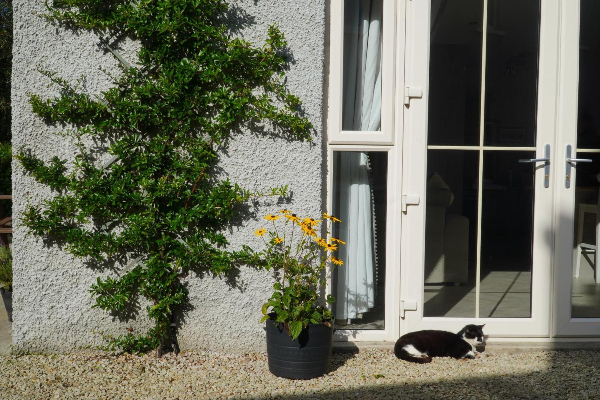 Ivy Lodge Letterkenny Exterior foto
